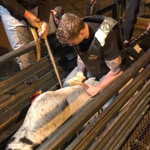 Meet your Posher, Cory